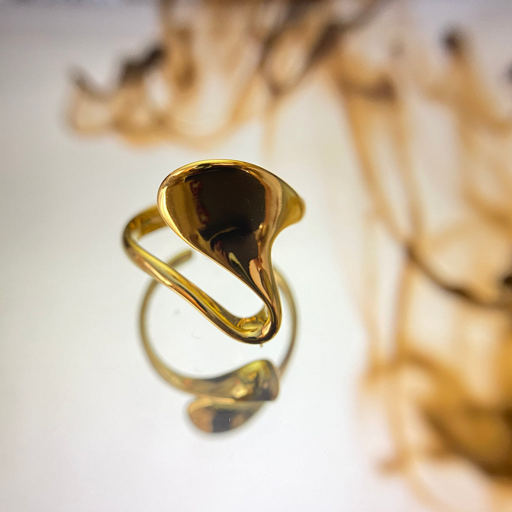 Fluid Drop Ring